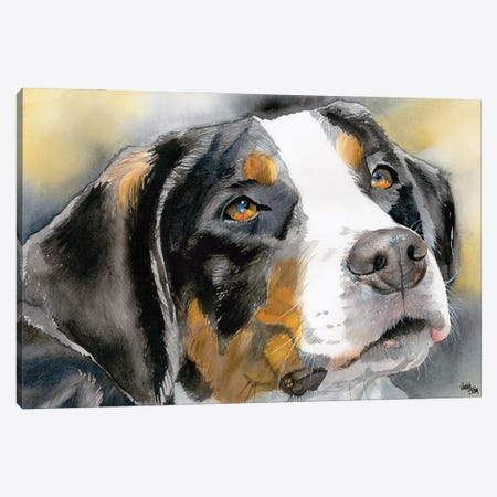 Swissy - Greater Swiss Mountain Dog Canvas Print #JDI151} by Judith Stein Canvas Print