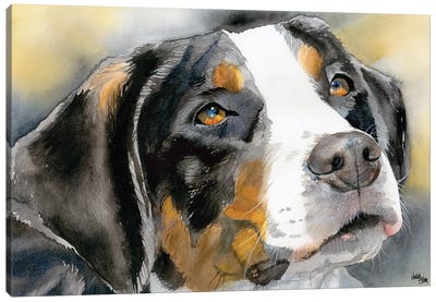 Swissy - Greater Swiss Mountain Dog Canvas Art Print - Judith Stein