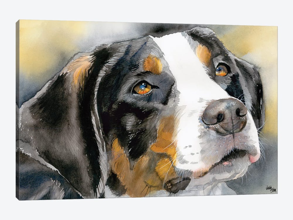 Swissy - Greater Swiss Mountain Dog by Judith Stein 1-piece Canvas Print