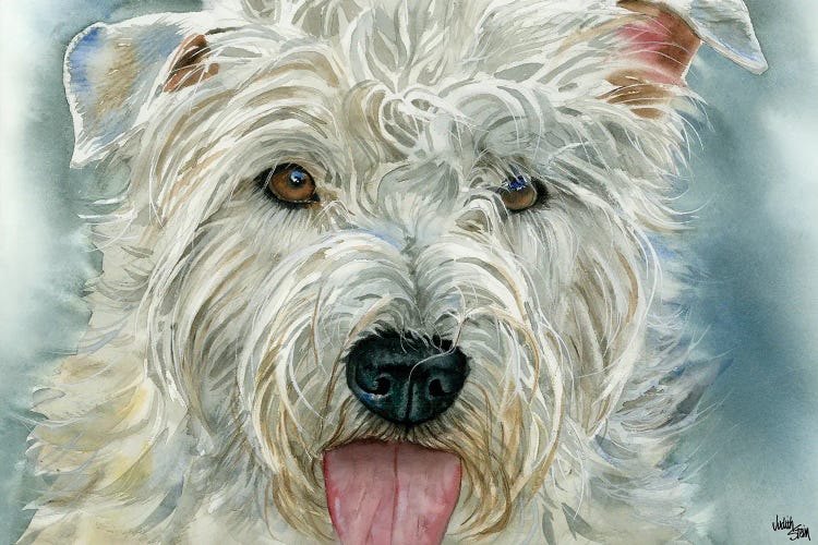 The Glen - Glen of Imaal Terrier by Judith Stein wall art