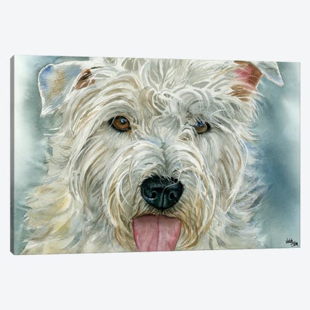 The Glen - Glen of Imaal Terrier Canvas Print #JDI153} by Judith Stein Art Print