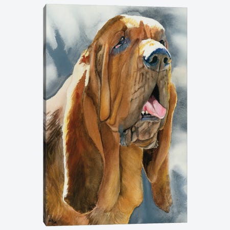 The Nose Knows - Bloodhound Canvas Print #JDI154} by Judith Stein Canvas Art