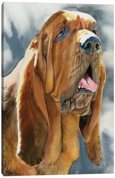 The Nose Knows - Bloodhound Canvas Art Print - Judith Stein