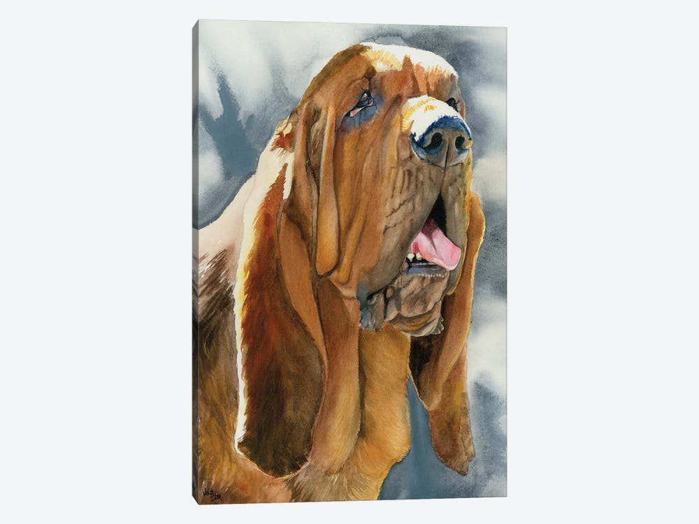 The Nose Knows - Bloodhound by Judith Stein 1-piece Canvas Wall Art