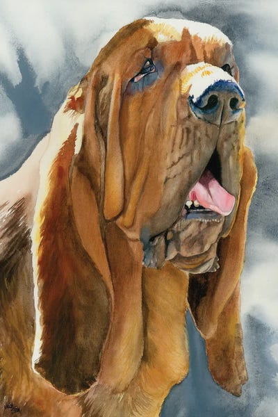 Bloodhounds: The Nose Knows - Bloodhound by Judith Stein