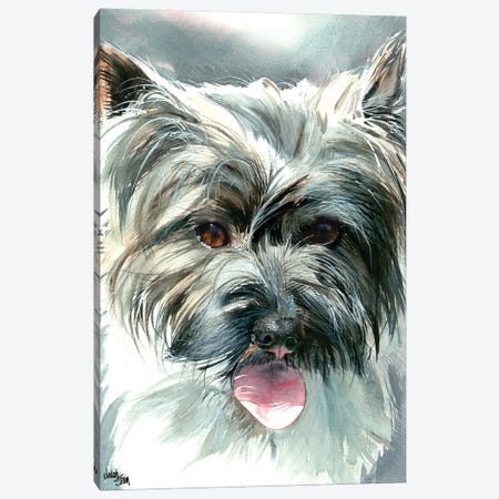 Toto - Cairn Terrier Canvas Print #JDI156} by Judith Stein Canvas Art