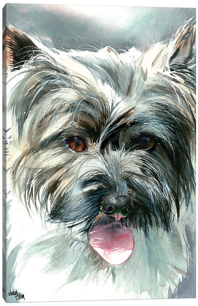 Toto - Cairn Terrier Canvas Art Print - Judith Stein
