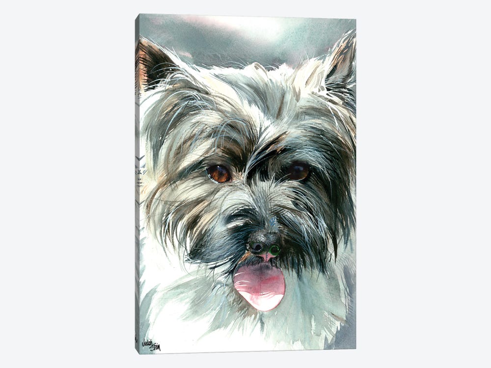 Toto - Cairn Terrier by Judith Stein 1-piece Canvas Wall Art
