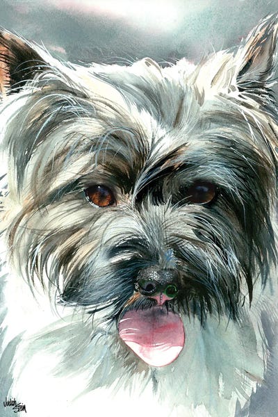 Terriers: Toto - Cairn Terrier by Judith Stein