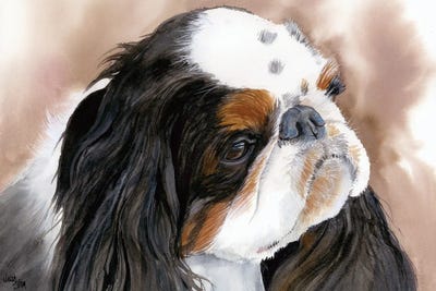English Toy Spaniels