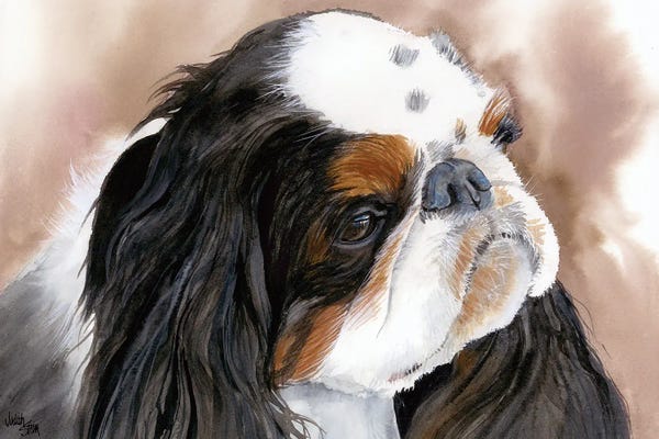 Spaniels: Toy Story - English Toy Spaniel  by Judith Stein
