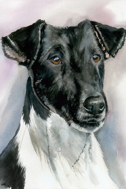 Tricky Terrier - Smooth Coat Fox Terrier by Judith Stein wall art