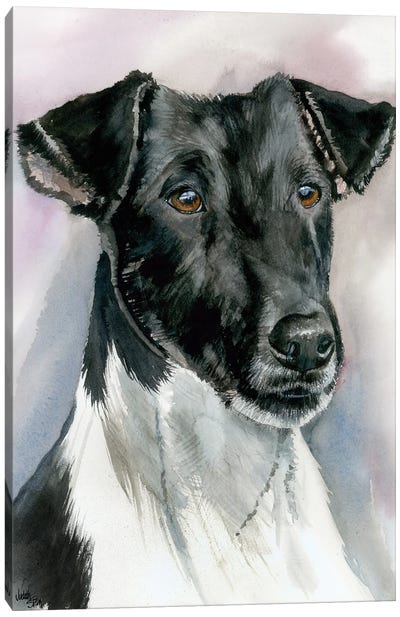 Tricky Terrier - Smooth Coat Fox Terrier Canvas Art Print - Judith Stein