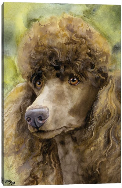 Truffle Face - Brown Standard Poodle  Canvas Art Print - Judith Stein