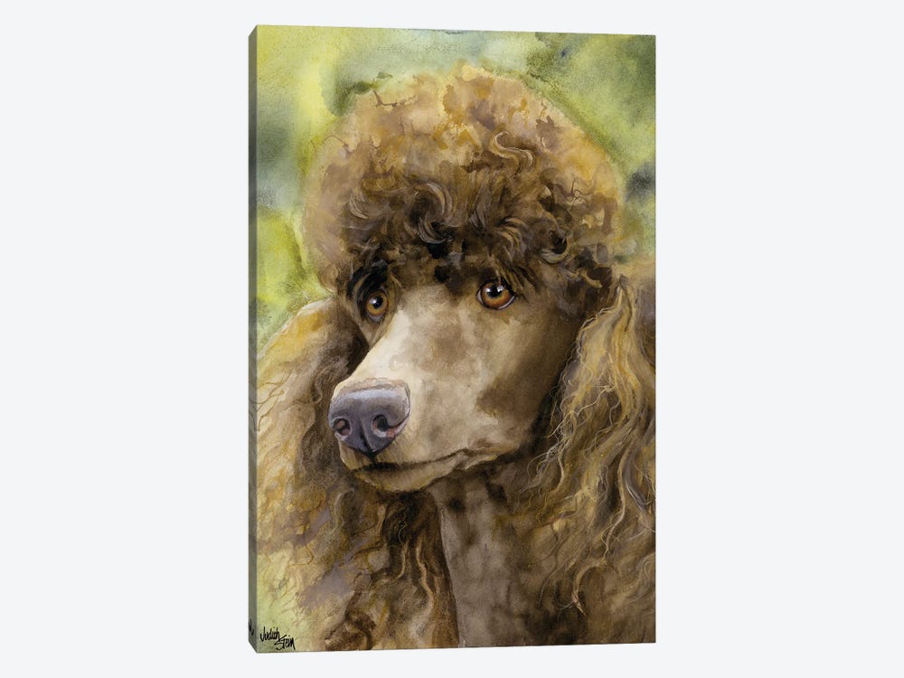 Truffle Face - Brown Standard Poodle  by Judith Stein 1-piece Canvas Print