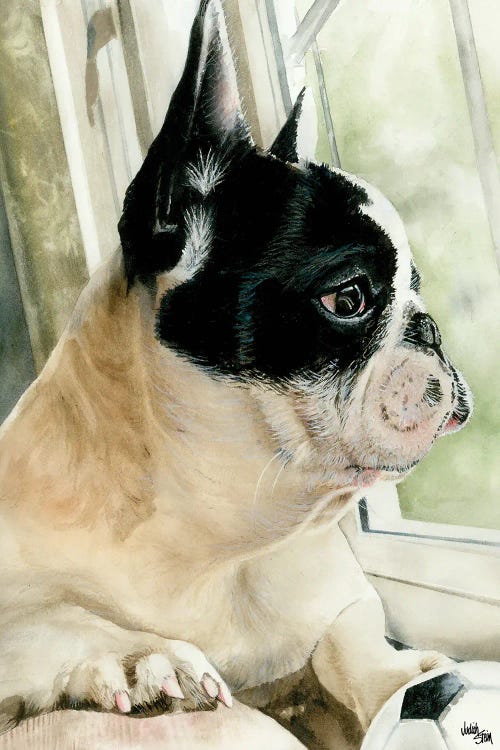 Ulysses by Judith Stein wall art