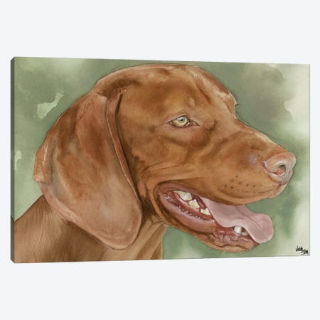 Velcro Dog - Vizsla Dog Canvas Print #JDI161} by Judith Stein Canvas Art