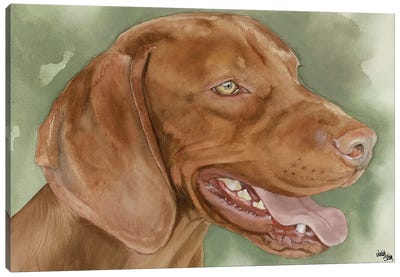 Velcro Dog - Vizsla Dog Canvas Art Print - Judith Stein