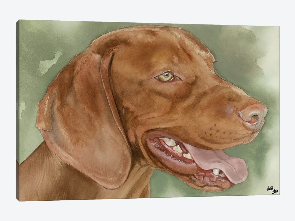 Velcro Dog - Vizsla Dog by Judith Stein 1-piece Canvas Art