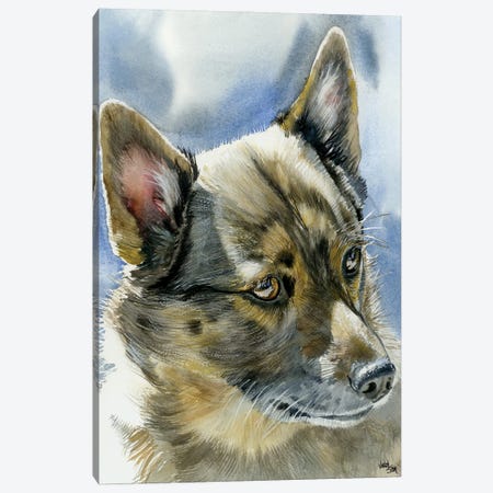 Viking Dog - Swedish Vallhund Canvas Print #JDI162} by Judith Stein Canvas Wall Art
