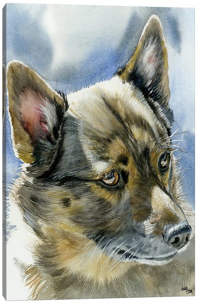 Viking Dog - Swedish Vallhund Canvas Art Print - Judith Stein
