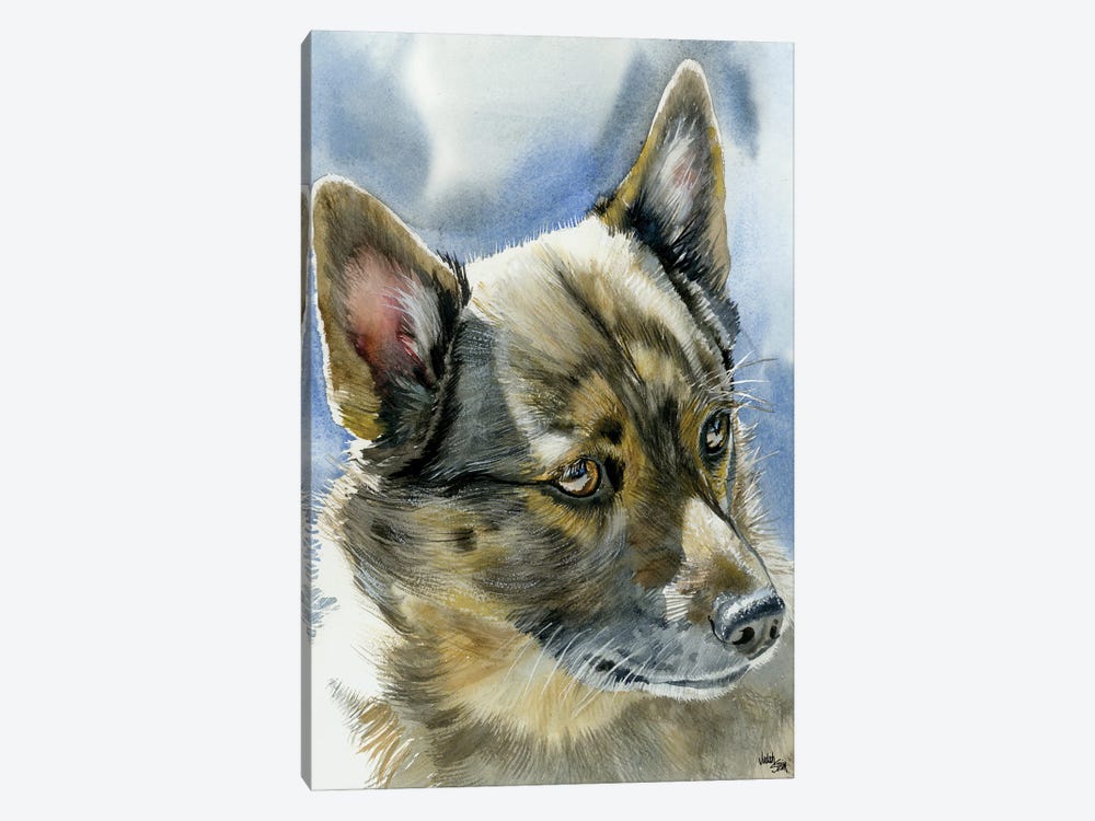Viking Dog - Swedish Vallhund by Judith Stein 1-piece Art Print
