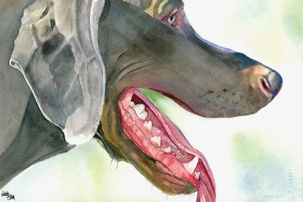 Weimaraners: Weim and Dine - Weimaraner by Judith Stein