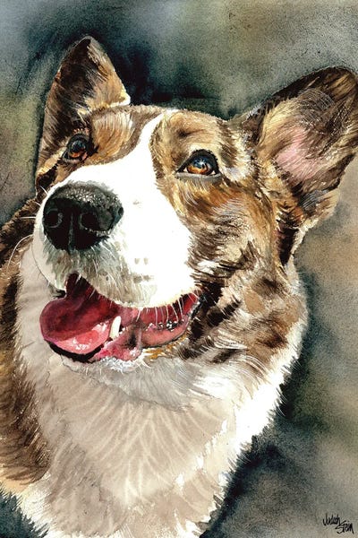 Welsh Corgi - Rhys by Judith Stein metal wall art