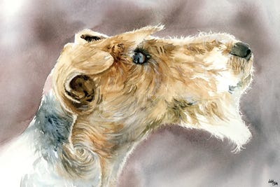 Wire Fox Terriers