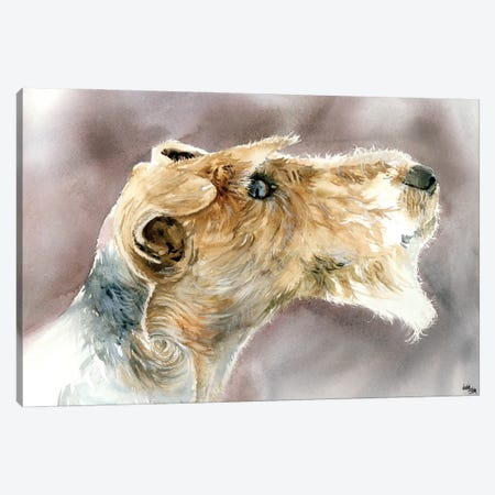 Wire Haired Fox Terrier Canvas Print #JDI169} by Judith Stein Canvas Art