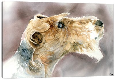 Wire Haired Fox Terrier Canvas Art Print - Judith Stein