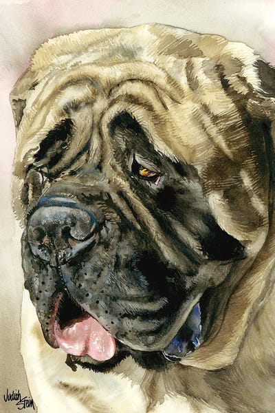 Mastiffs: Benevolent Behemoth - English Mastiff by Judith Stein