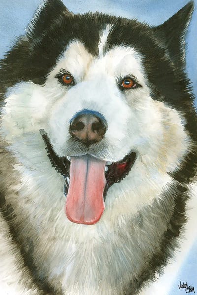 Alaskan Malamutes: Wolf Dog - Alaskan Malamute by Judith Stein