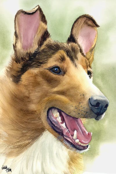 Woof to Watch - Smooth Coat Collie by Judith Stein framed wall art