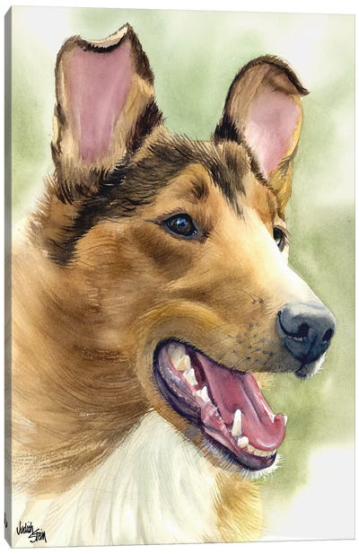 Woof to Watch - Smooth Coat Collie Canvas Art Print - Rough Collies