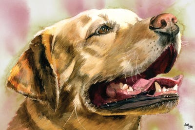 Yeller Feller - Yellow Labrador Retriever by Judith Stein framed wall art