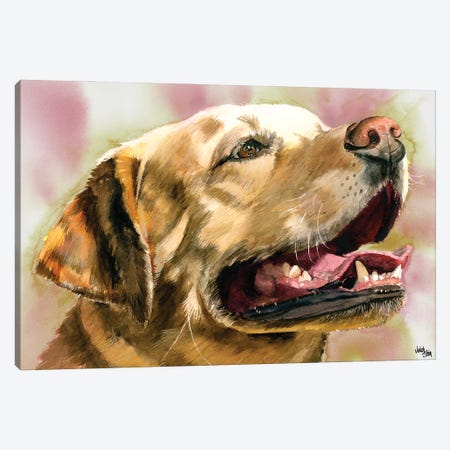 Yeller Feller - Yellow Labrador Retriever Canvas Print #JDI172} by Judith Stein Canvas Art Print
