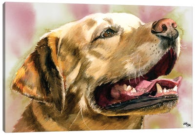 Yeller Feller - Yellow Labrador Retriever Canvas Art Print - Judith Stein