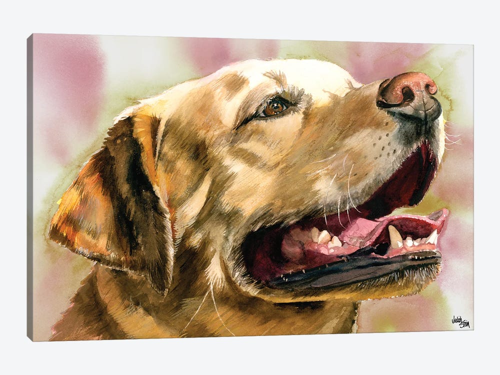 Yeller Feller - Yellow Labrador Retriever by Judith Stein 1-piece Canvas Art