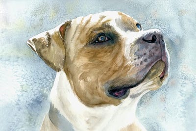 Ain't Misbehavin - Pit Bull by Judith Stein metal wall art