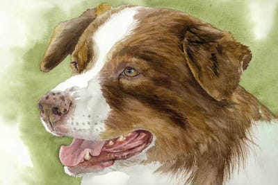 American Made - Australian Shepherd by Judith Stein framed wall art