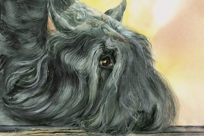 Black Beard - Bouvier Des Flandres by Judith Stein canvas print