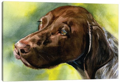 Brownie Points - German Shorthaired Pointer Canvas Art Print