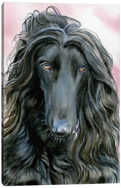 Dog Of Noah's Ark - Afghan Dog Canvas Art Print - Judith Stein