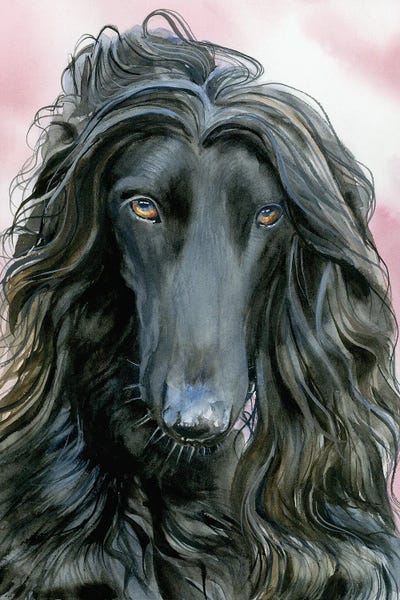 Afghan Hounds: Dog Of Noah's Ark - Afghan Dog by Judith Stein