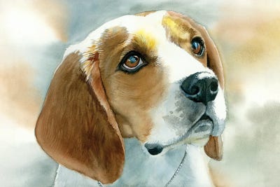 Dog Tired - Beagle by Judith Stein metal wall art