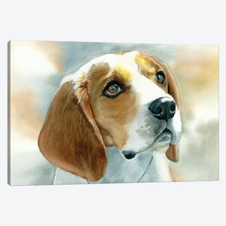Dog Tired - Beagle Canvas Print #JDI189} by Judith Stein Canvas Art