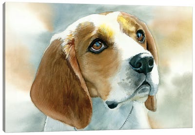 Dog Tired - Beagle Canvas Art Print - Judith Stein