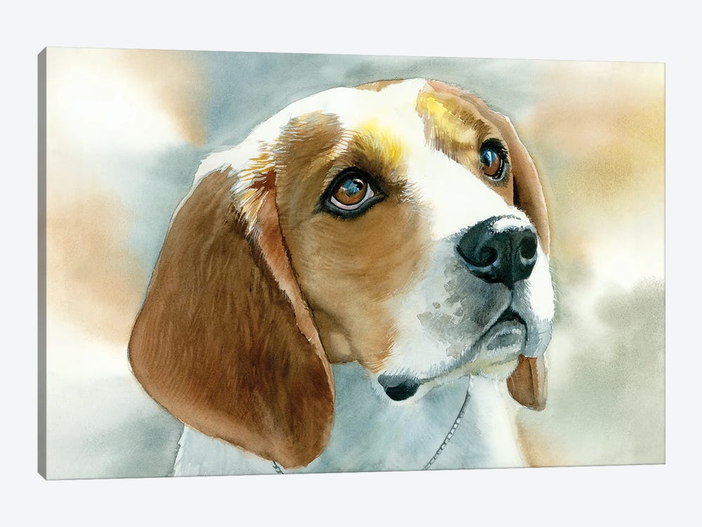 Dog Tired - Beagle by Judith Stein 1-piece Canvas Art