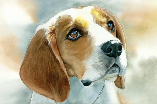 Beagles: Dog Tired - Beagle by Judith Stein